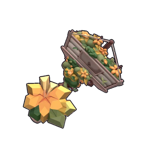 Lilium Set