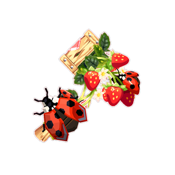 Strawberry Fields Set
