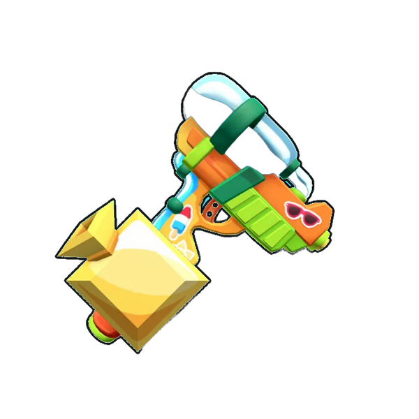 Water Gun Set