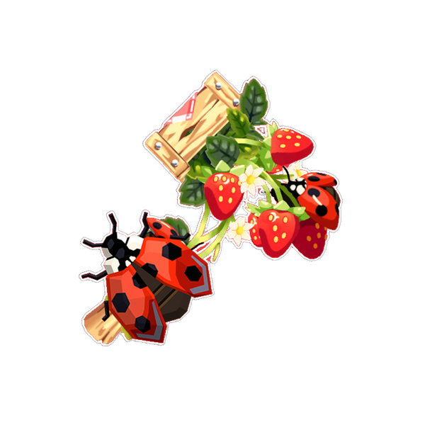 Strawberry Fields Set